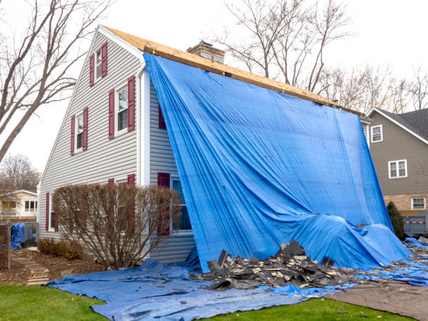 Best Aluminum Siding Installation  in Linden, AL